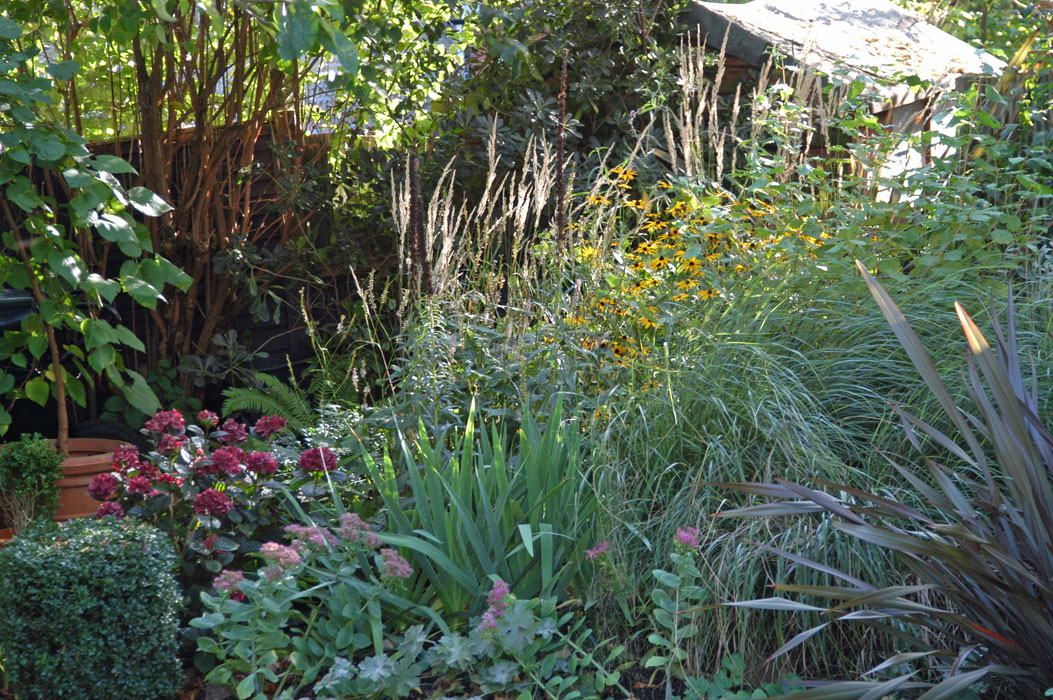 Border planted with grasses and perennials