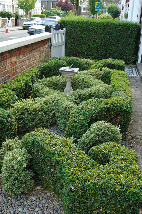Fully grown knot garden showing two varieties of box weaving over and under each other